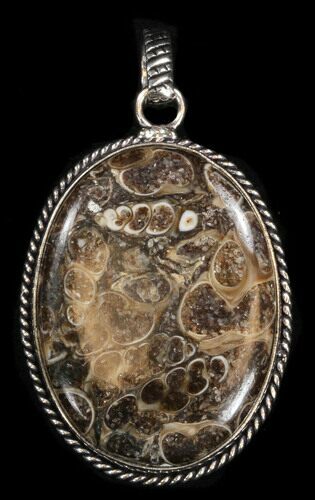 Fossil Turritella (Gastropod) Pendant - Eocene #38116